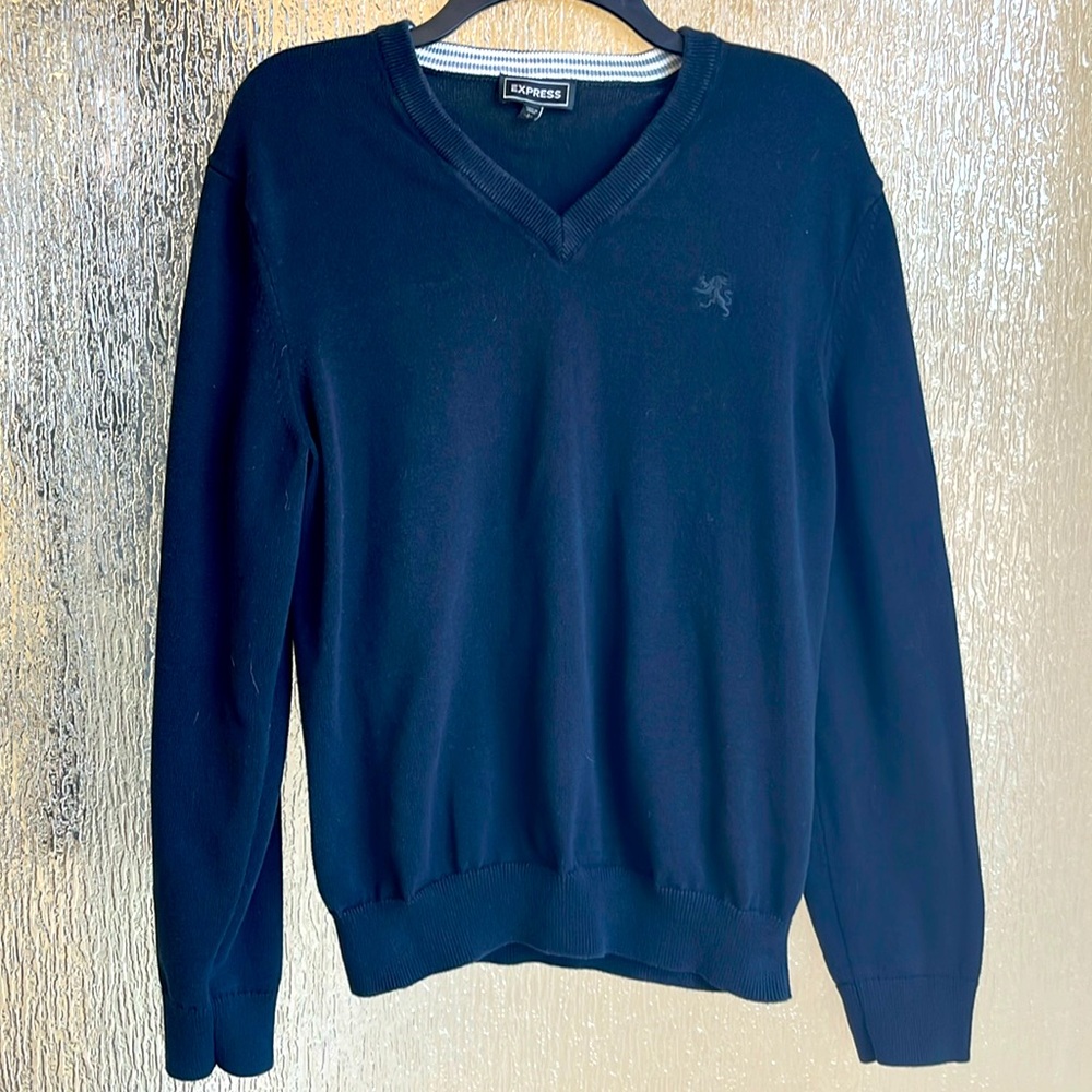 Express large black men's sweater